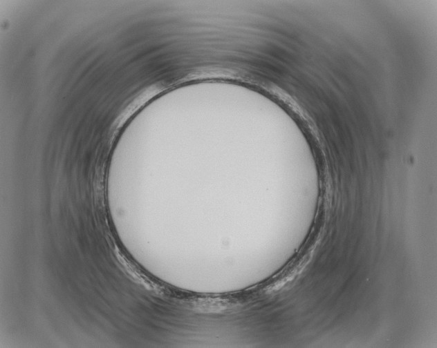 X0000086001137200704201825