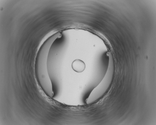 X0000086001138200704201825