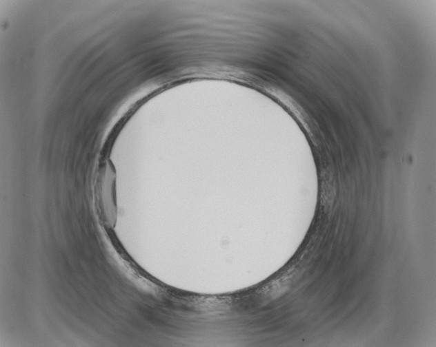 X0000086001139200704201825