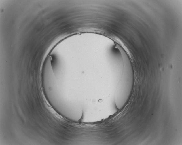 X0000086001140200704201825