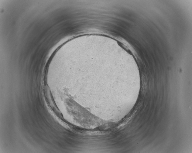 X0000086001142200704201825