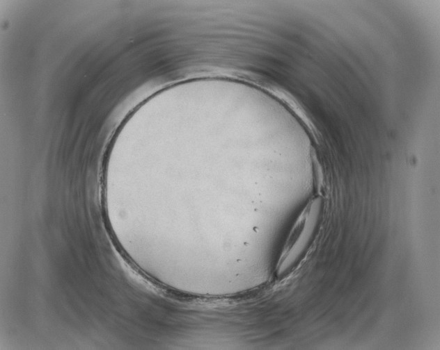 X0000086001143200704201825