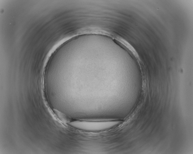 X0000086001144200704201825