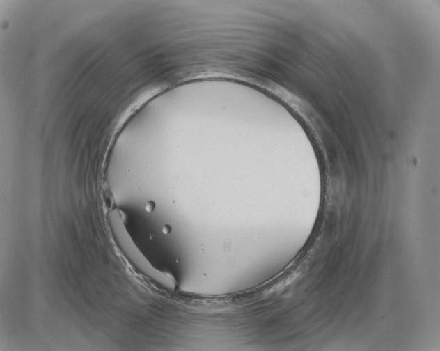 X0000086001145200704201825