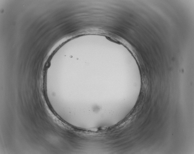 X0000086001147200704201825