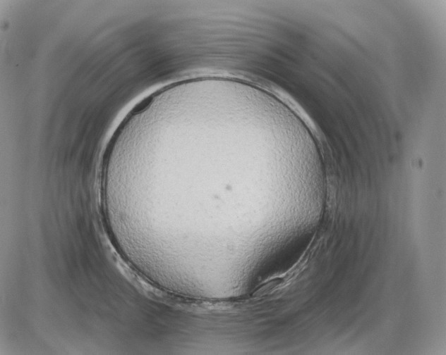 X0000086001148200704201825