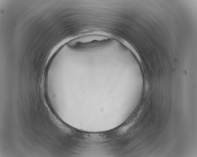 X0000086001149200704201825