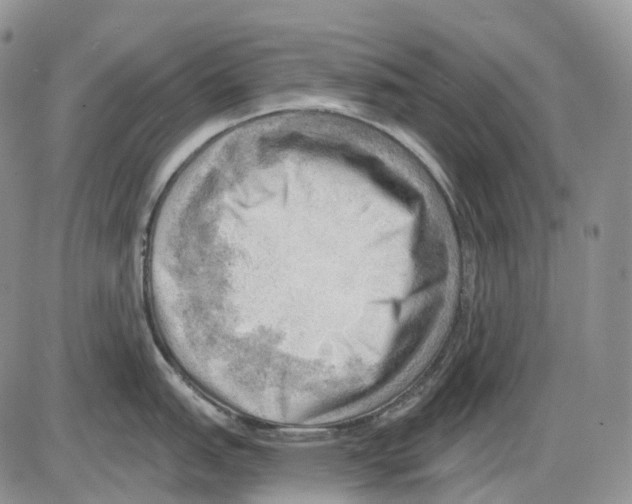 X0000086001151200704201825