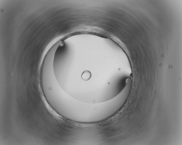 X0000086001152200704201825