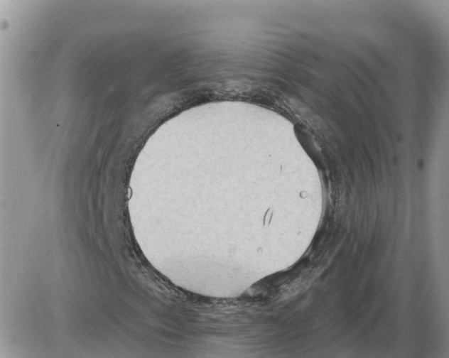 X0000086001153200704201824