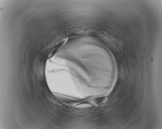 X0000086001154200704201824