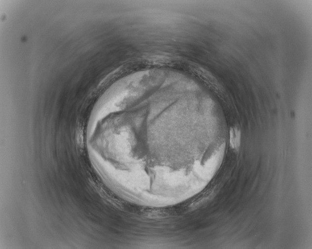 X0000086001155200704201824