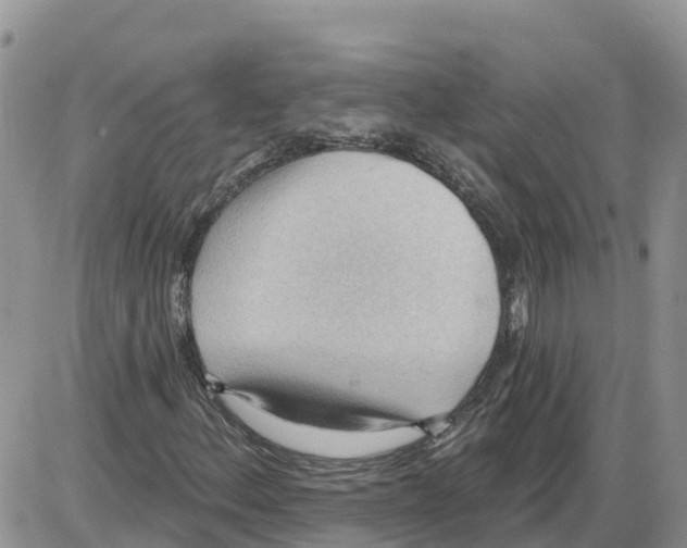 X0000086001156200704201824