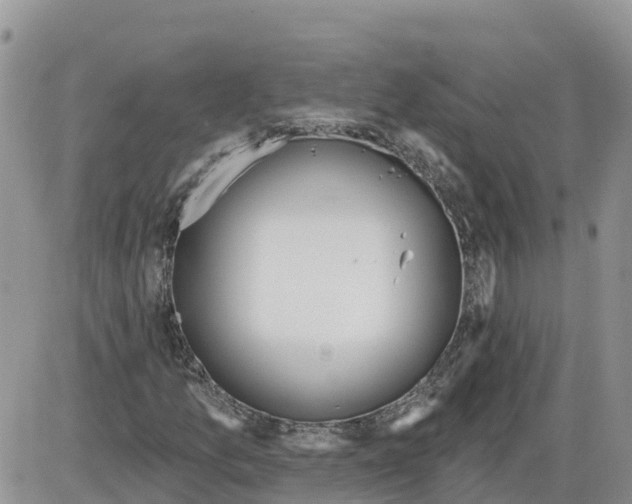 X0000086001157200704201824