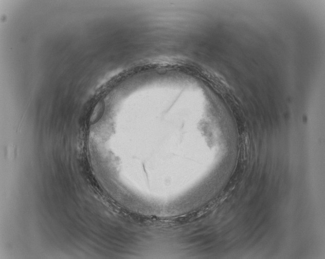 X0000086001158200704201824