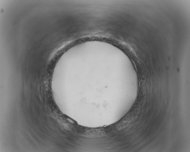 X0000086001159200704201824