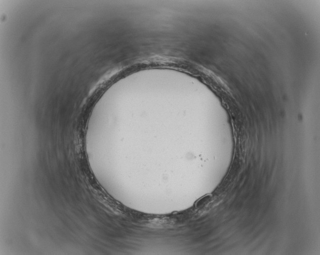 X0000086001160200704201824