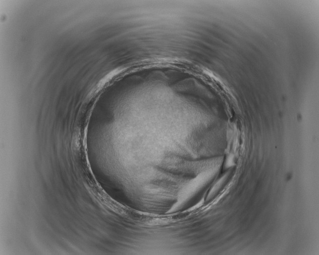 X0000086001161200704201824