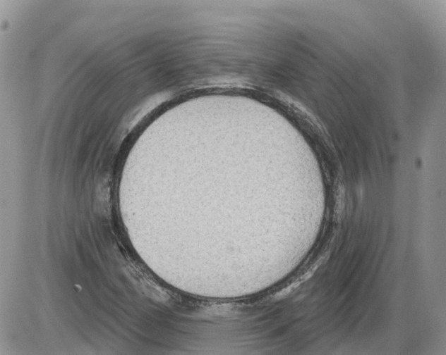 X0000086001162200704201824