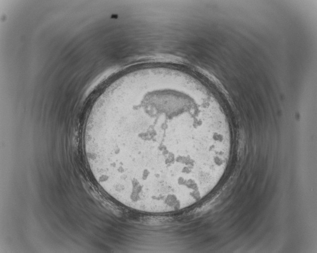 X0000086001163200704201824