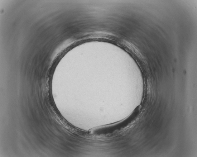 X0000086001164200704201824