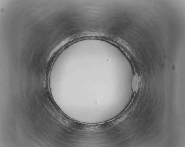 X0000086001165200704201824