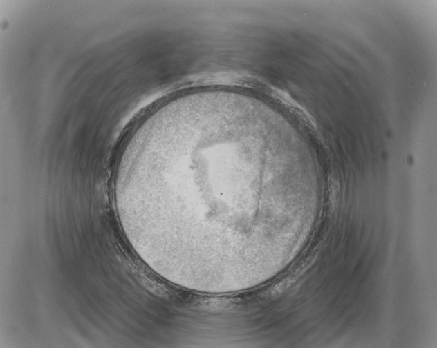 X0000086001166200704201824