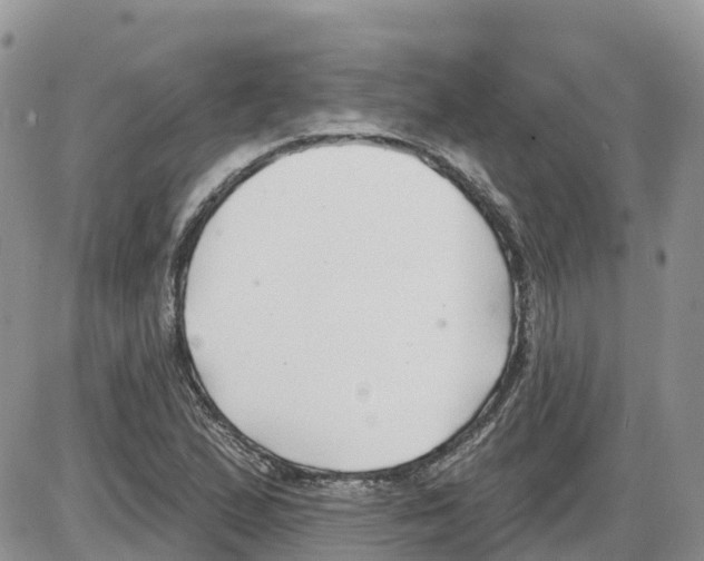 X0000086001167200704201824