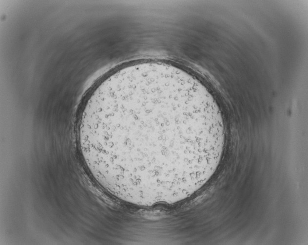 X0000086001168200704201824