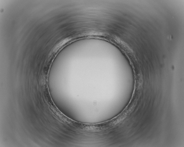 X0000086001169200704201824