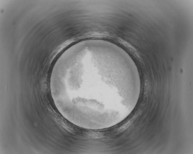 X0000086001170200704201824