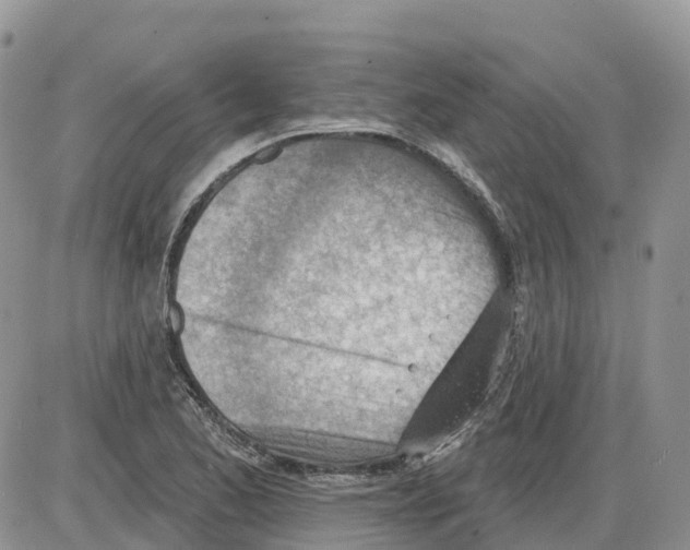 X0000086001173200704201824