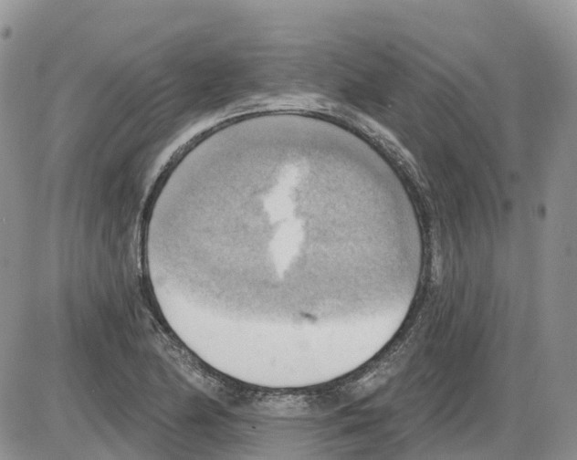 X0000086001174200704201824