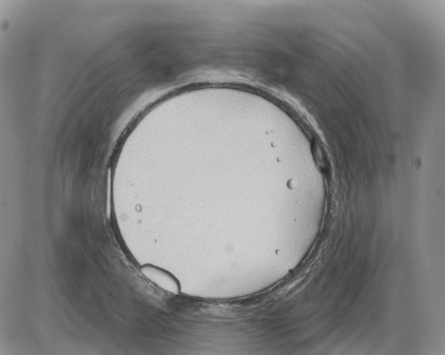 X0000086001175200704201824