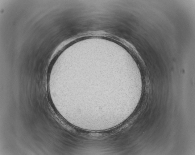 X0000086001176200704201824