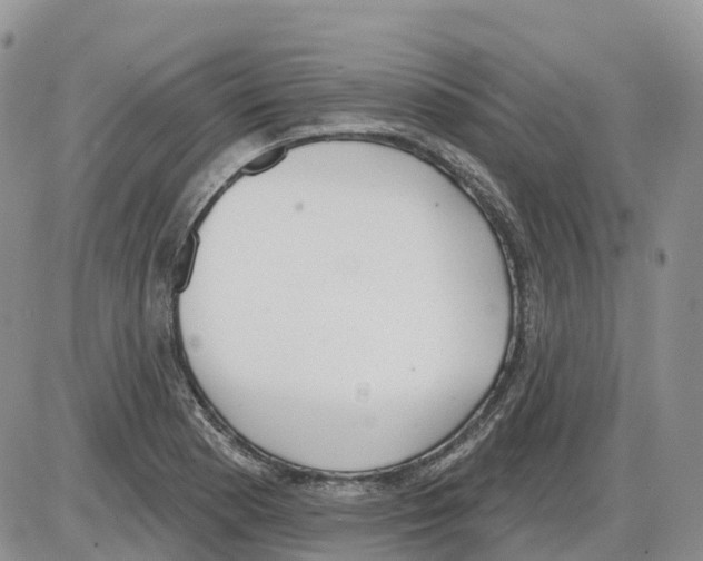 X0000086001177200704201824