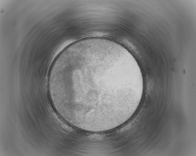 X0000086001178200704201824