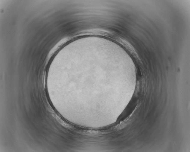 X0000086001180200704201824