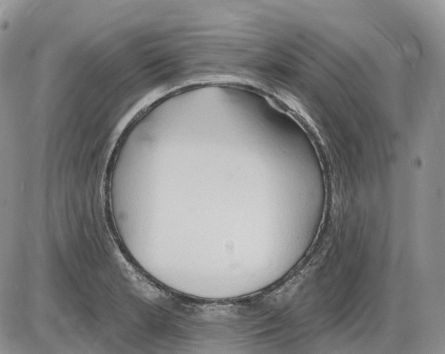 X0000086001181200704201824