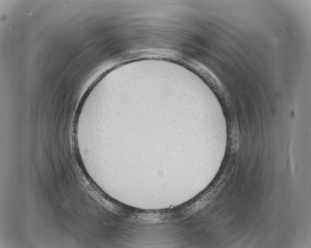 X0000086001182200704201824