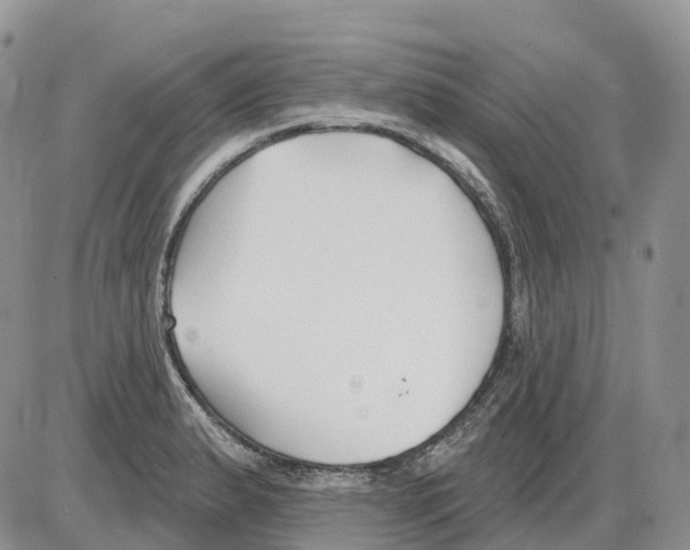 X0000086001183200704201824