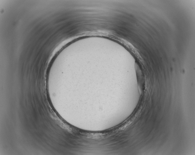 X0000086001184200704201824