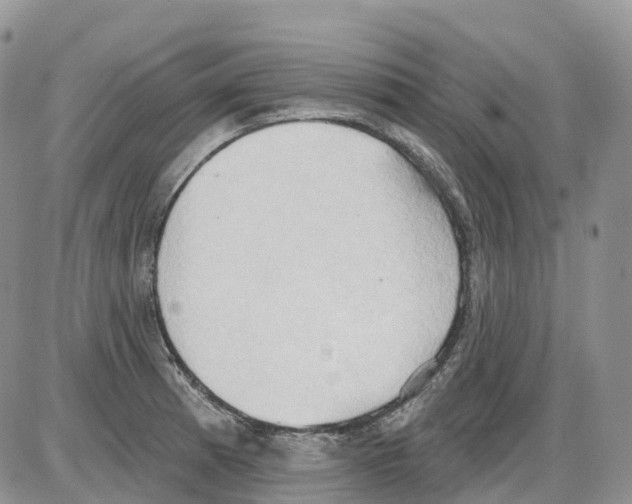 X0000086001185200704201824