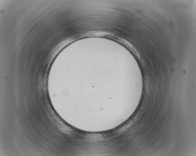 X0000086001186200704201824