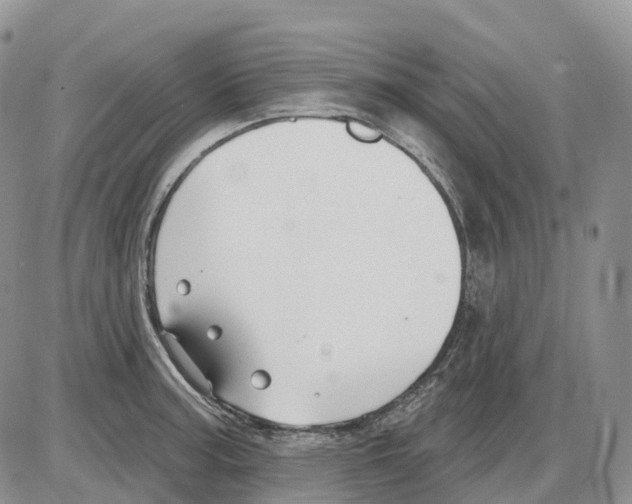 X0000086001187200704201824