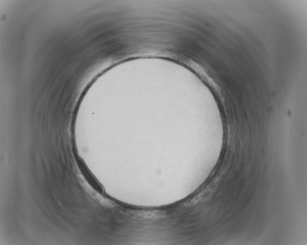 X0000086001189200704201824