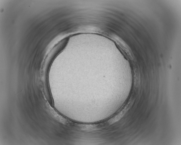 X0000086001192200704201824