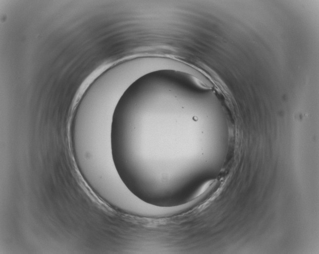 X0000086001196200704201823