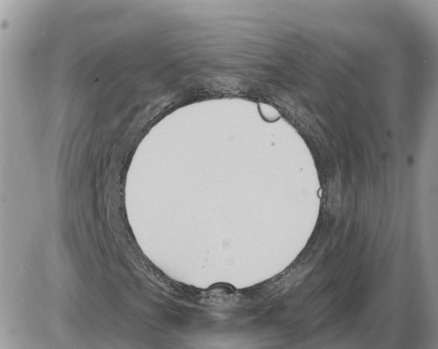 X0000086001201200704201823