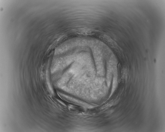 X0000086001202200704201823